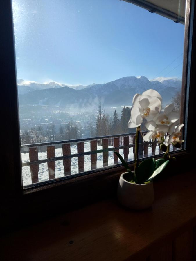 Niebianska Gran Zakopane Exterior foto