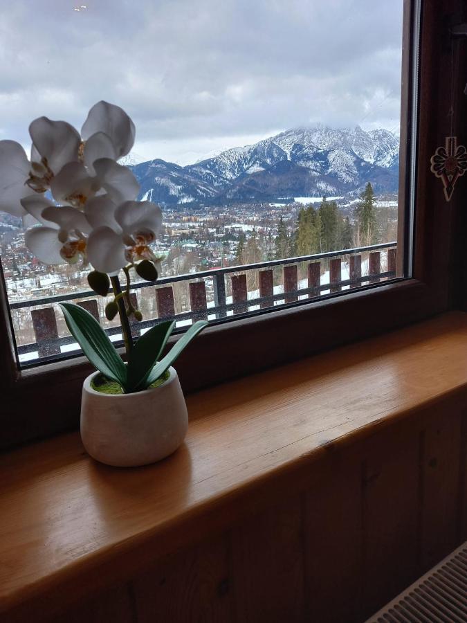 Niebianska Gran Zakopane Exterior foto